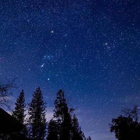 Mountain View, Near Yosemite & Bass Lake, Bbq, Fireplace,Evc 오크허스트 외부 사진