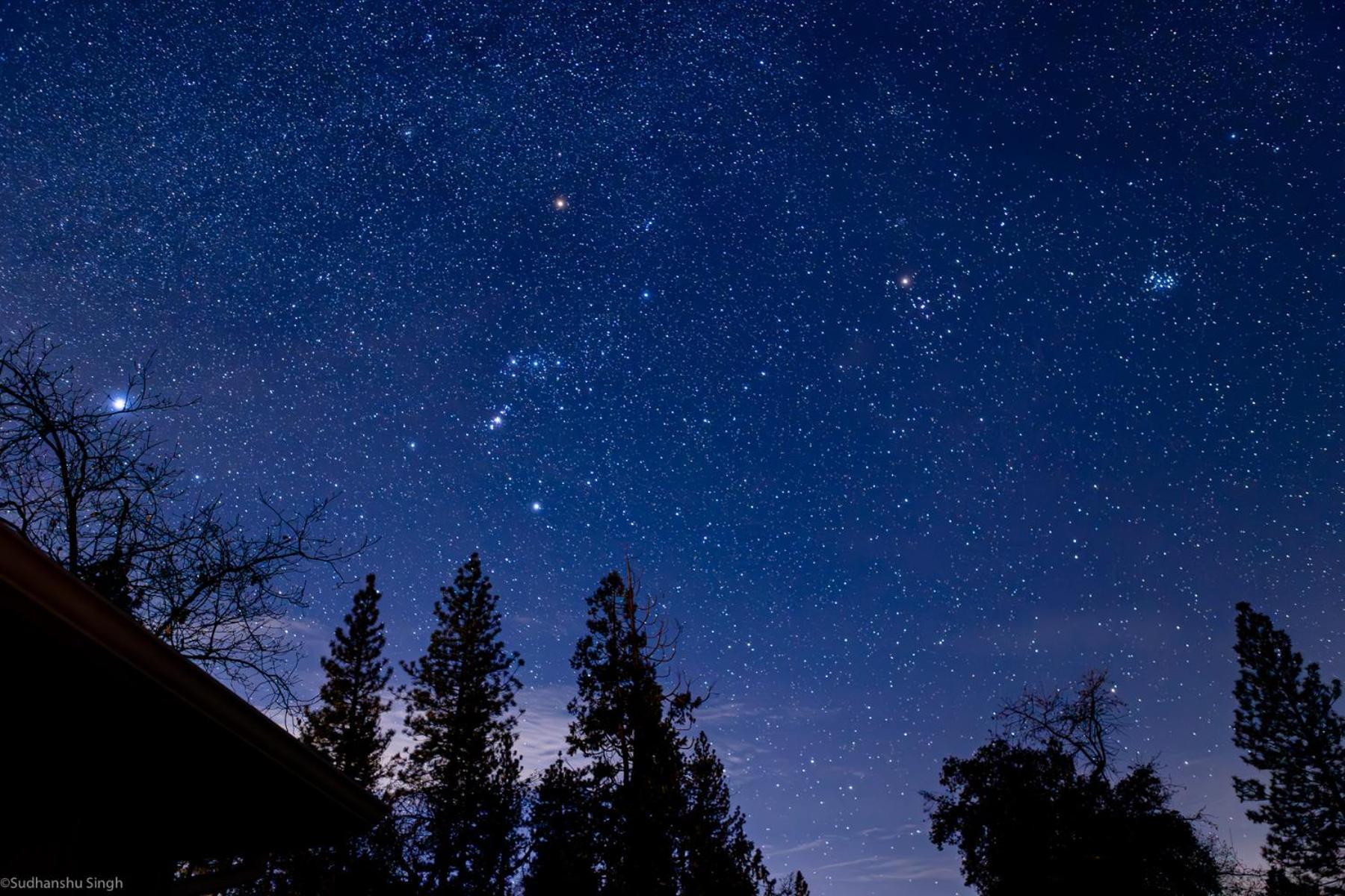 Mountain View, Near Yosemite & Bass Lake, Bbq, Fireplace,Evc 오크허스트 외부 사진